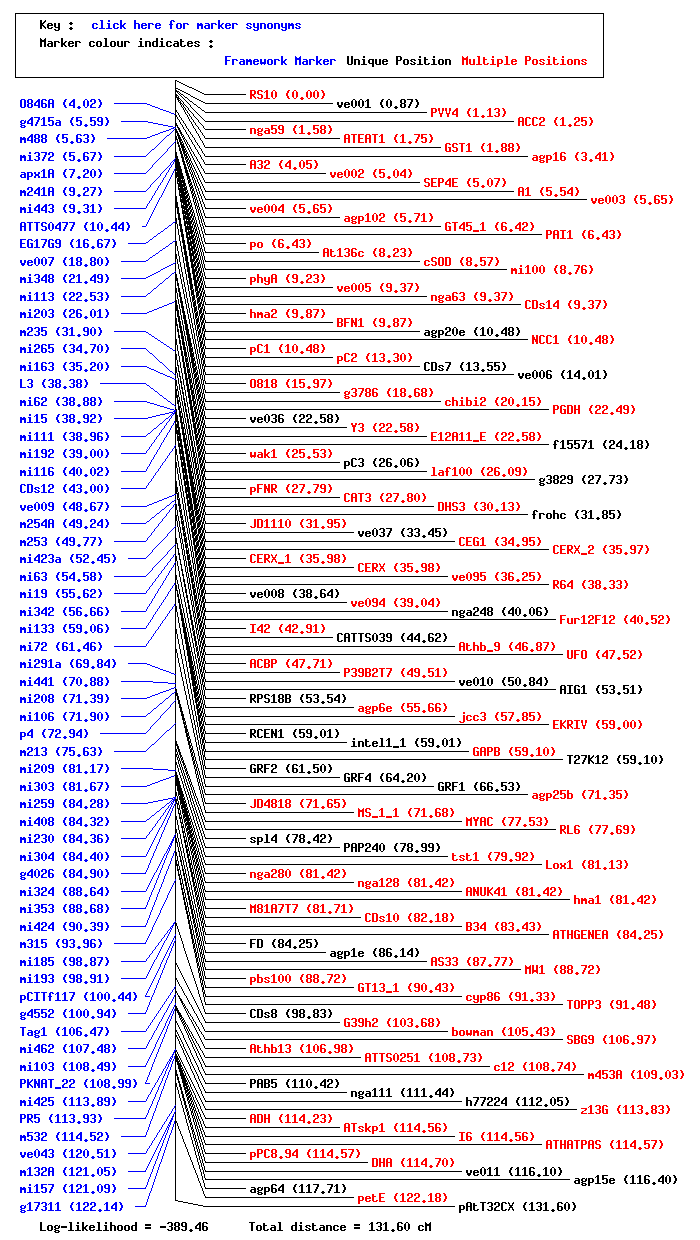 Graphic of Chromosome 1