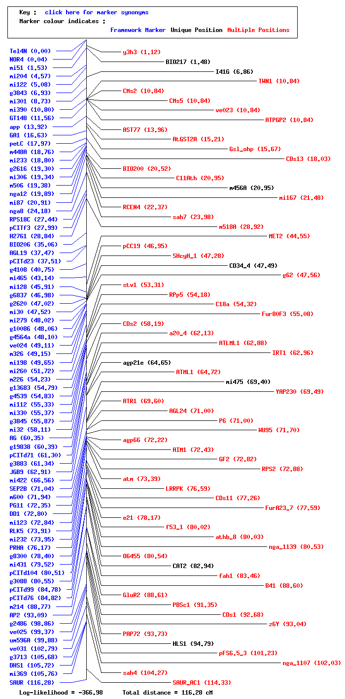 Graphic of Chromosome 4